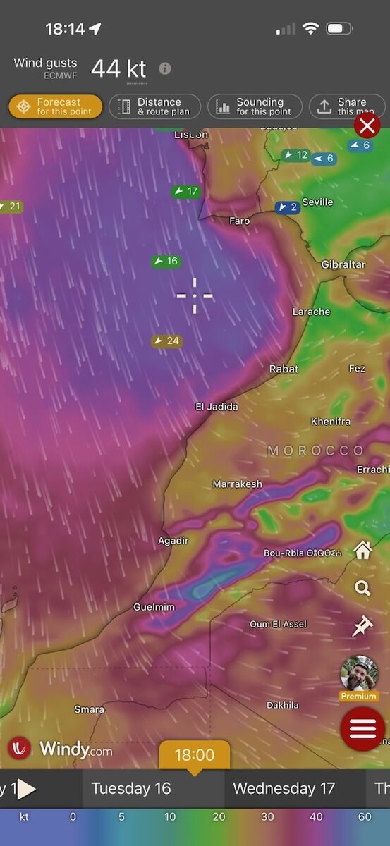 Atlantik 2025 - Photo 20