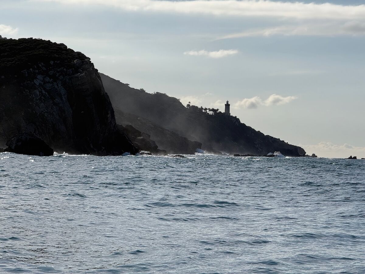 Atlantik 2025 - Photo 36