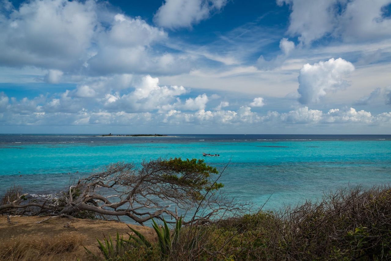Caribbean Expedition