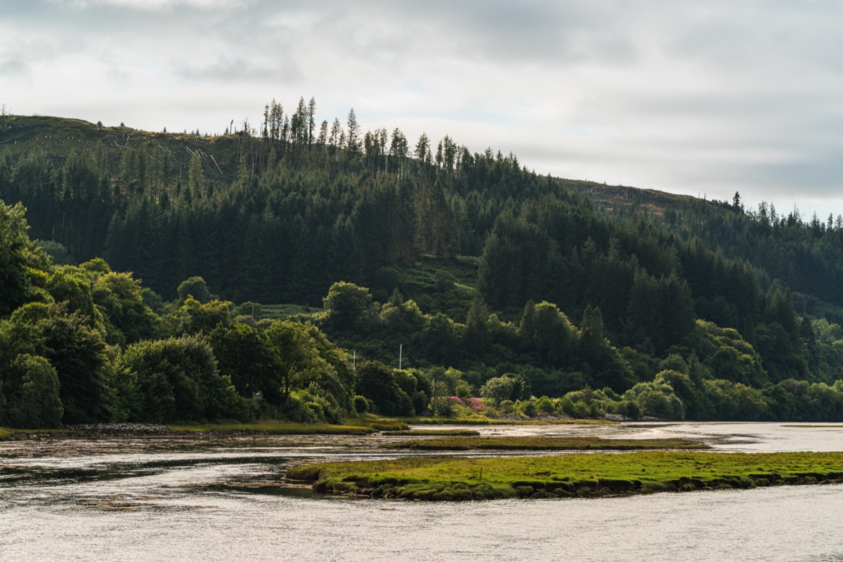 Scotland 2025 - Photo 7