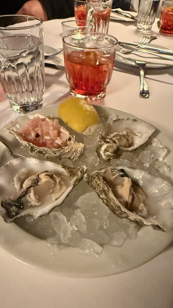 Zimní Balt 2025 - Photo 11